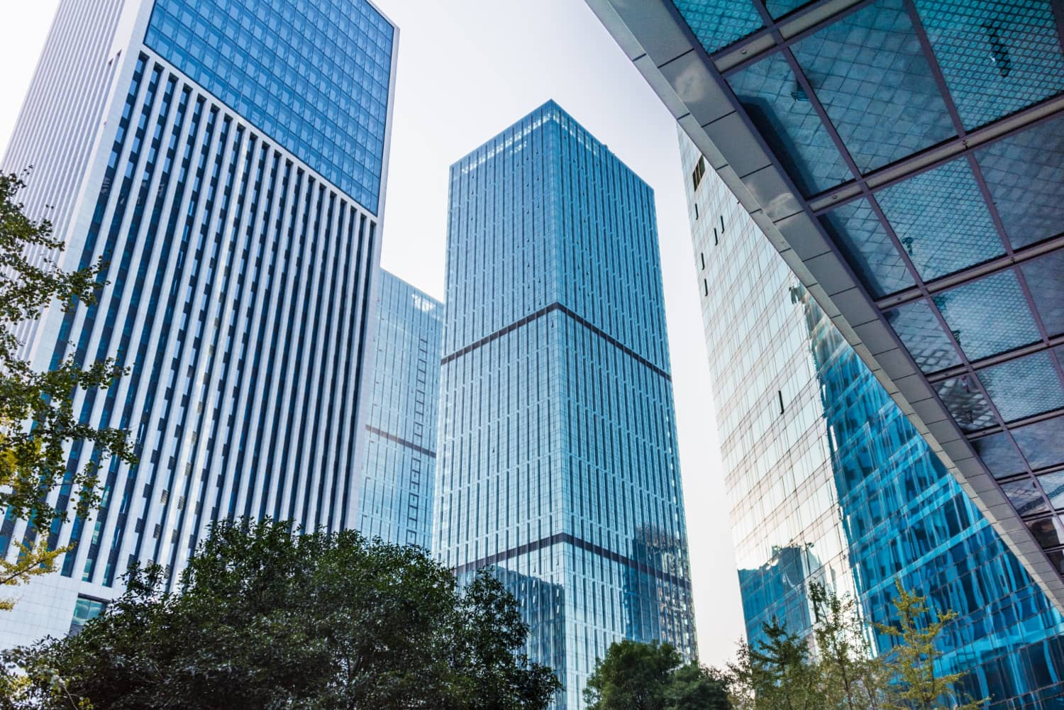 Capital Investment | House of Boards